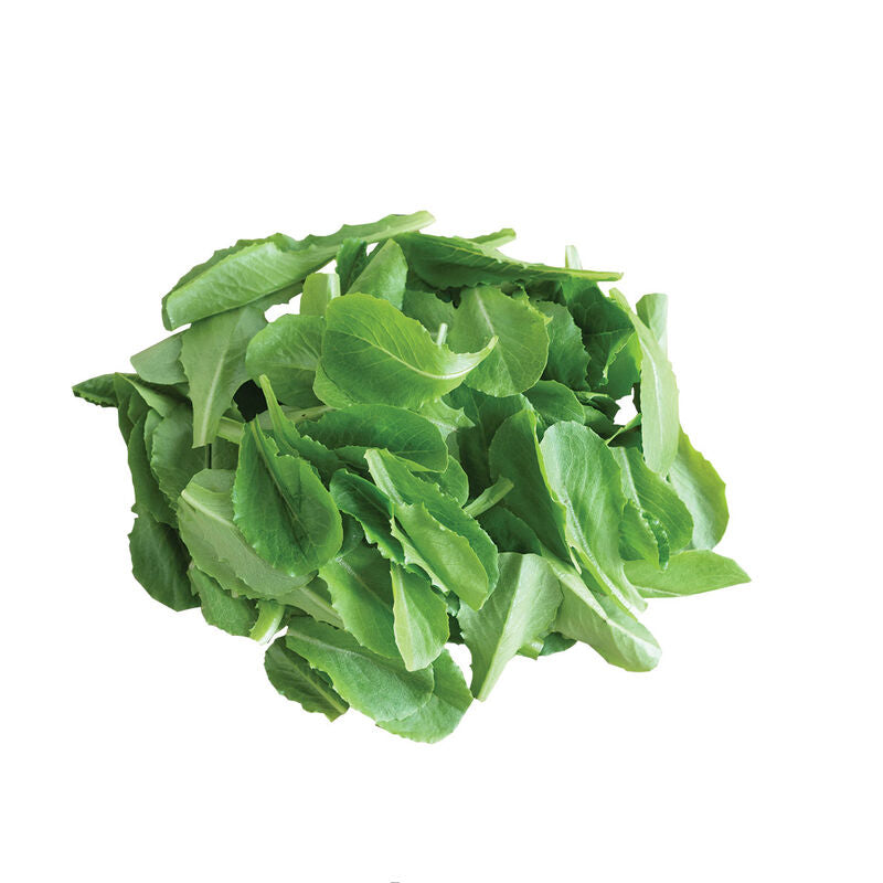 Parris Island - Semillas Orgánicas de Lechuga Romana