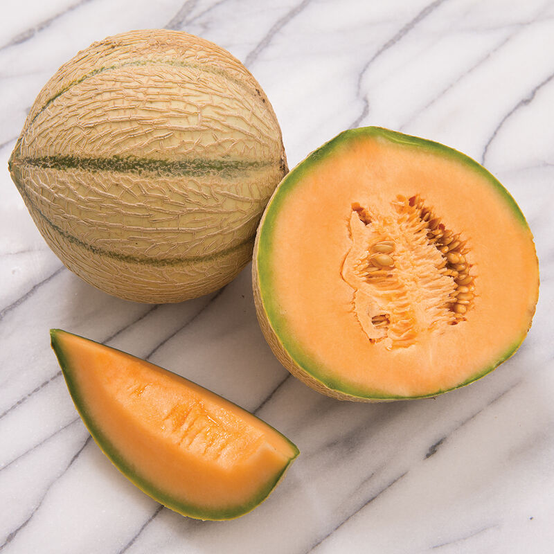 Escorial - Semillas F1 de Melón