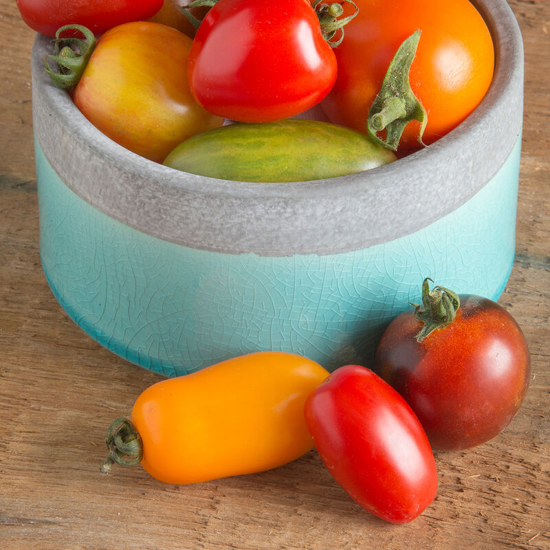 Valentine - Semillas F1 de Tomate Pera Orgánico