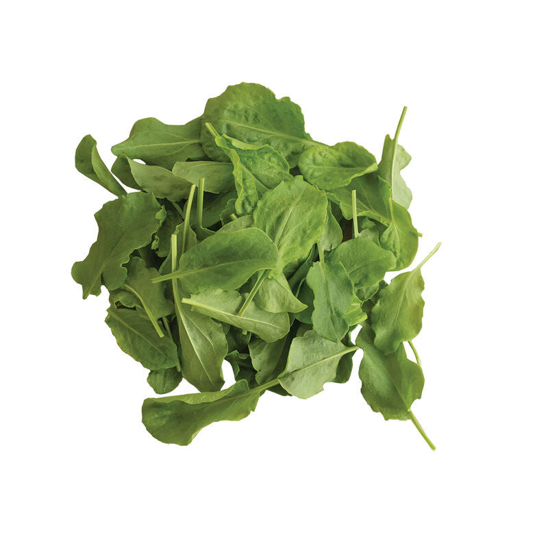 Sorrel - Semillas Orgánicas de Acedera de Hoja Verde