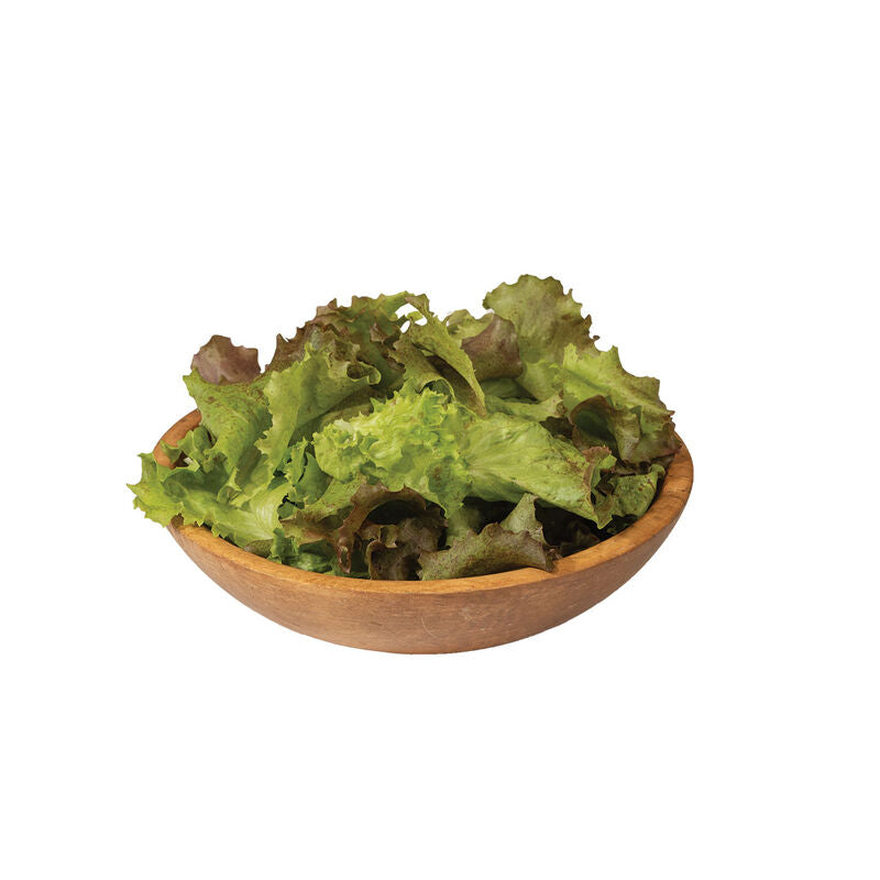 Red Sails - Semillas de Lechuga Orgánica