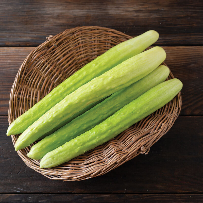 Margarita (F1) Semilla de pepino
