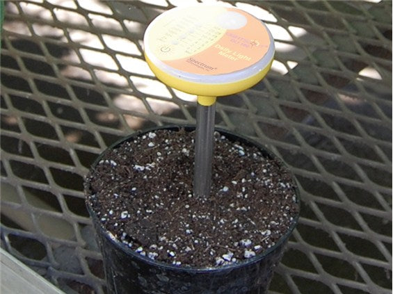 Lightscout DLI 100 - Medidores de Luz