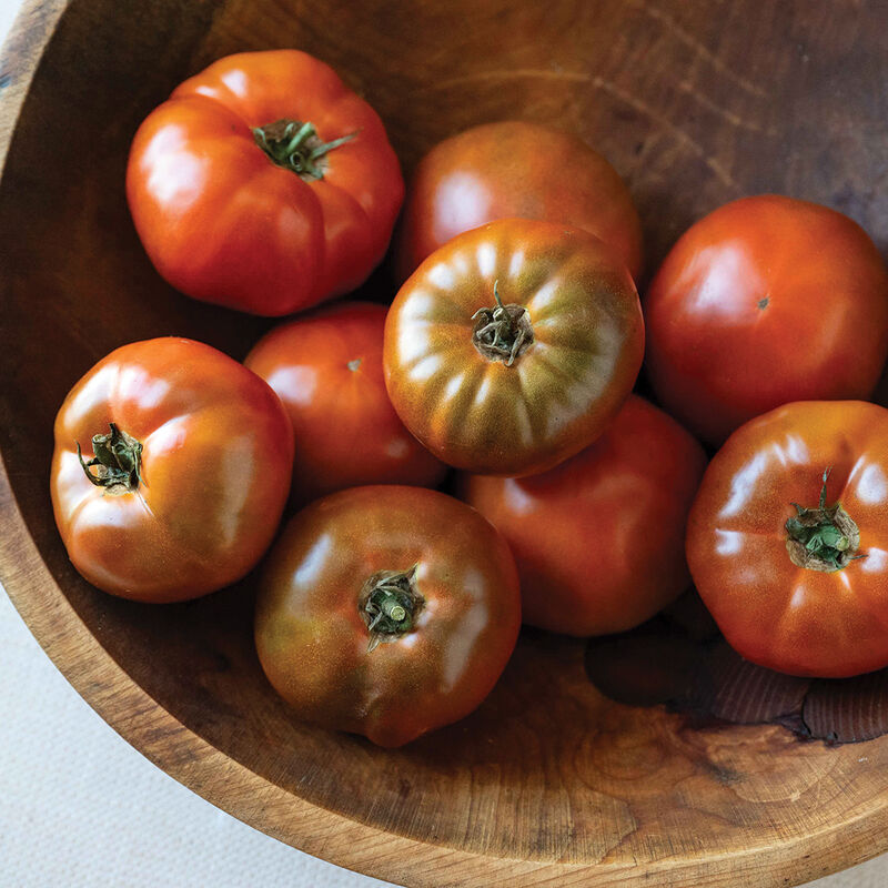 Honey Bee- Semilla de tomate orgánica (F1)