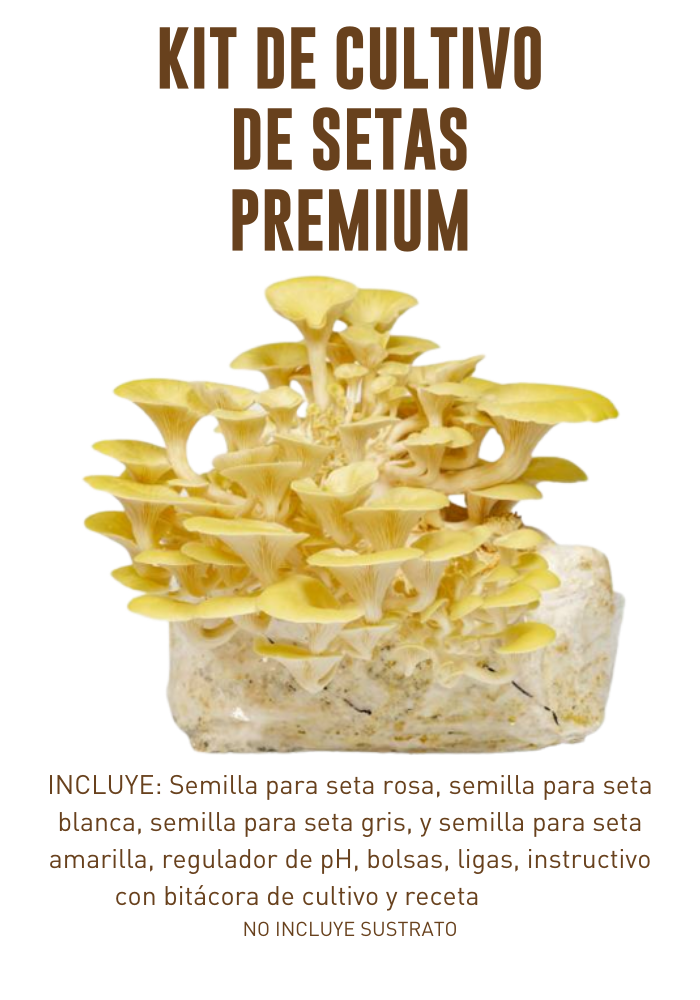 Kit Premium para Cultivo de Setas