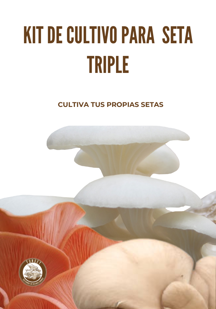 Kits Triples para Cultivo de Hongo Seta Orgánicos
