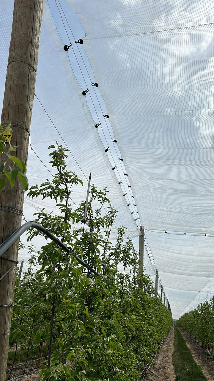 Gancho Sujetador de Mallas