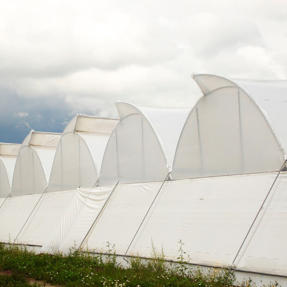 Plásticos para Invernadero 75% Sombra