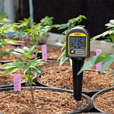 Medidores de PAR, integral de luz diaria y fotoperiodo