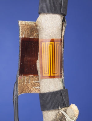 Sensores de Flujo de Savia por Transpiración