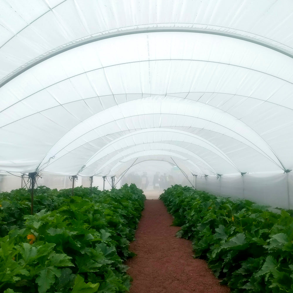 Plástico Macrotúnel