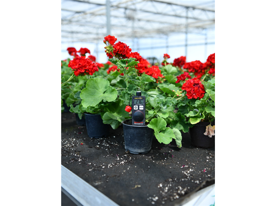 LightScout Quantum - Medidor de Luz (PAR) con DLI Luz LED