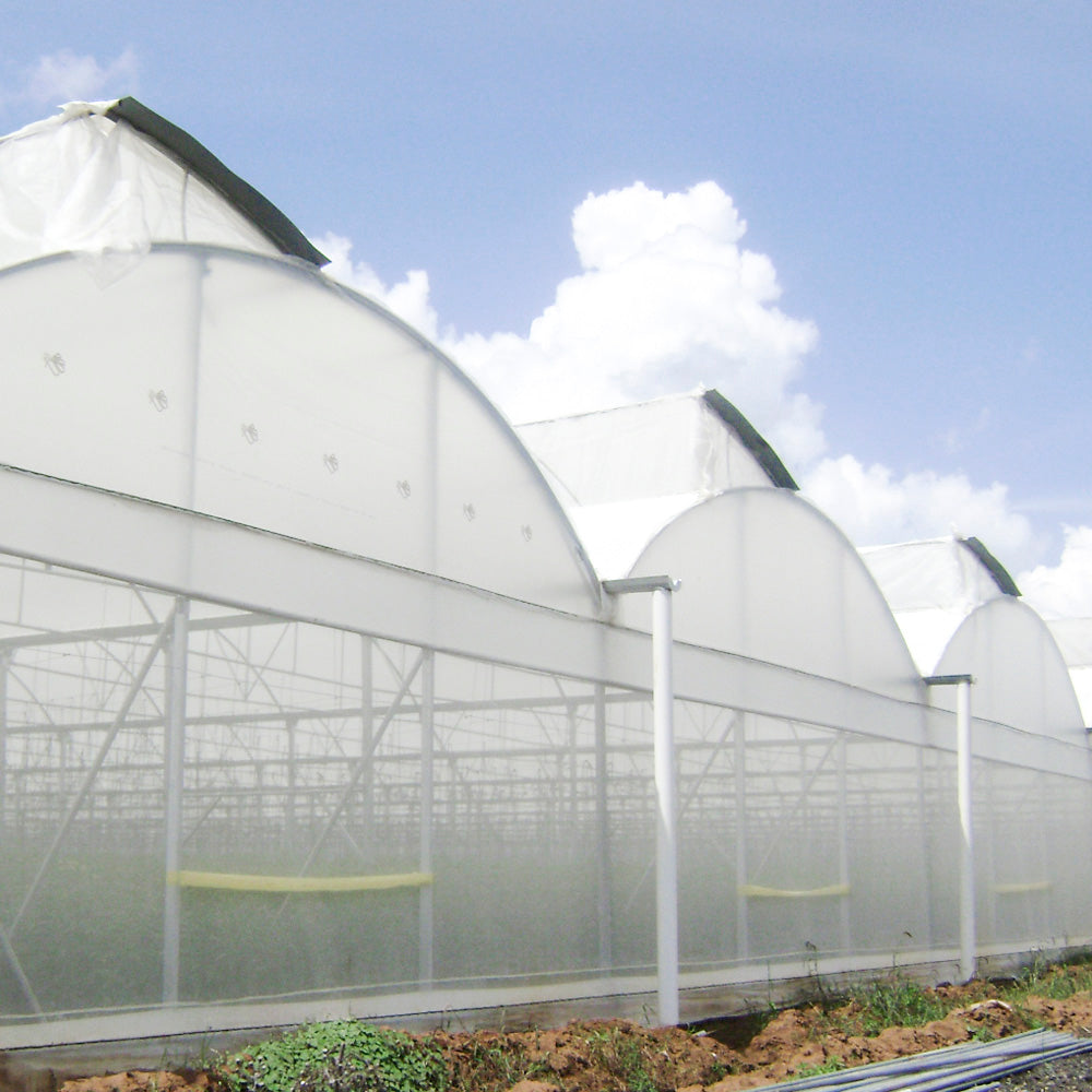 Plástico Térmico para Invernadero