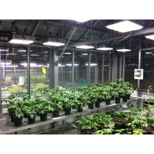 Apache Tech AT200 - Luces LED Blanco/Rojo 3:2