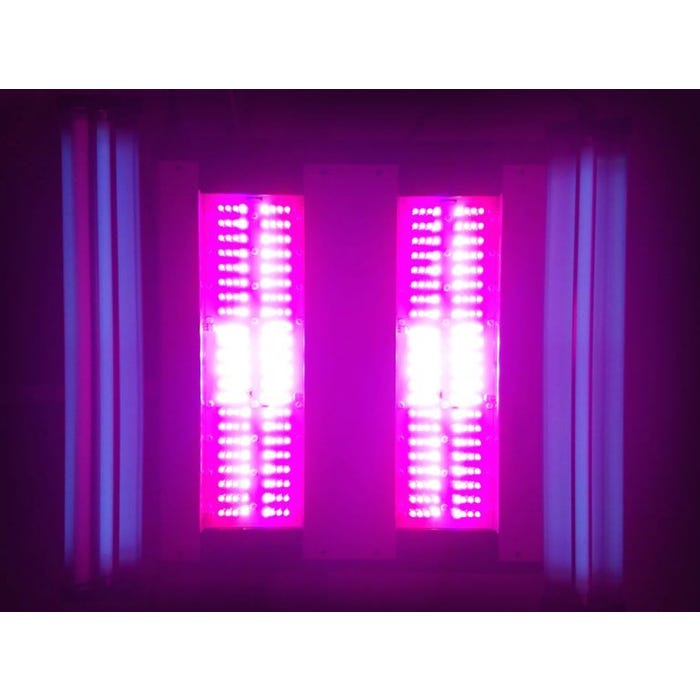 California LightWorks SolarSystem 1100 - Luces LED UVB de Cultivo