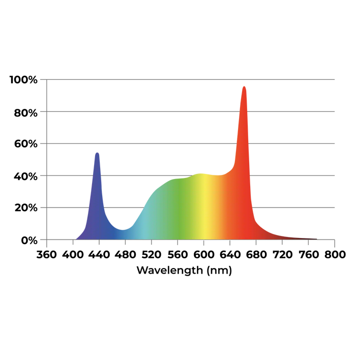 Dutch Lighting Innovations - Luz Superior LED serie APEX