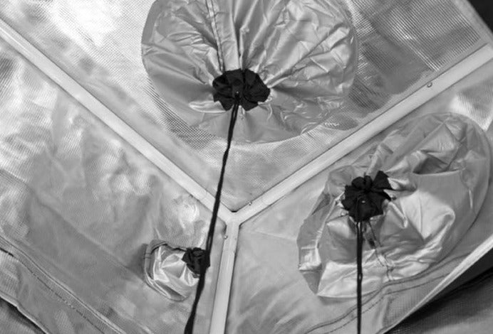 Gorilla Grow - Carpa de Cultivo 5' x 9'