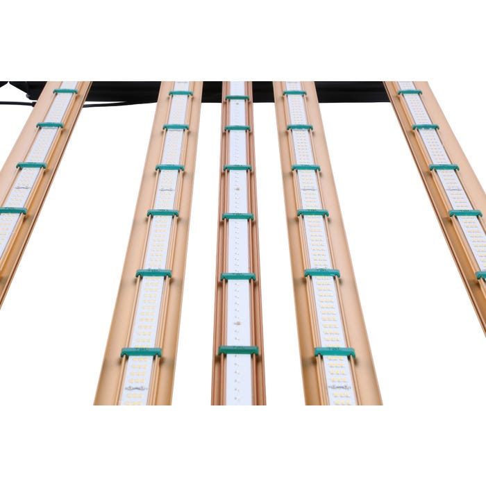 ROI-E720 - Juego de Barras Bloom Boost UV-R (para LED GC)