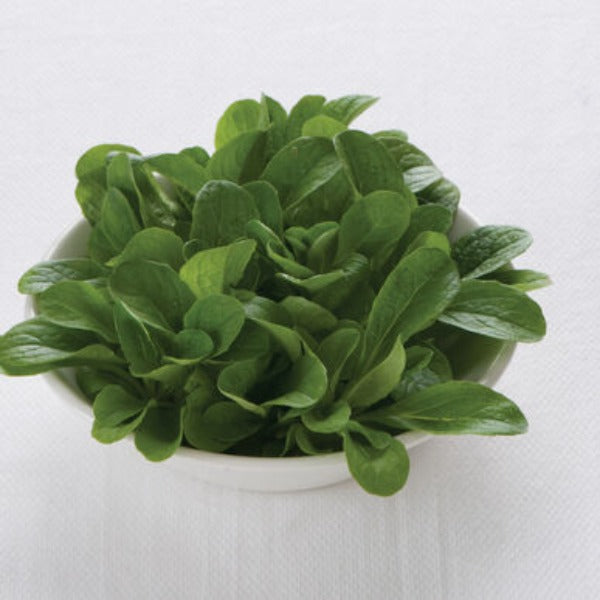 Vit - Semilla de Hoja Verde de Mâche