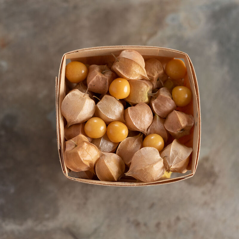 Goldie - Semillas Orgánicas de Cereza de Cáscara