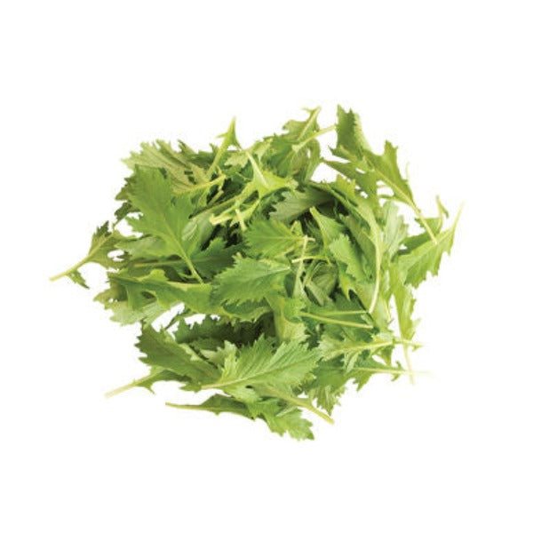 Mizuna - Semilla Orgánica de Mizuna Hoja Verde Asiática