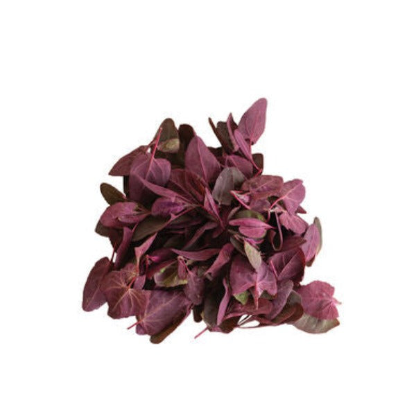 Ruby Red Orach - Semilla Orgánica de Hoja