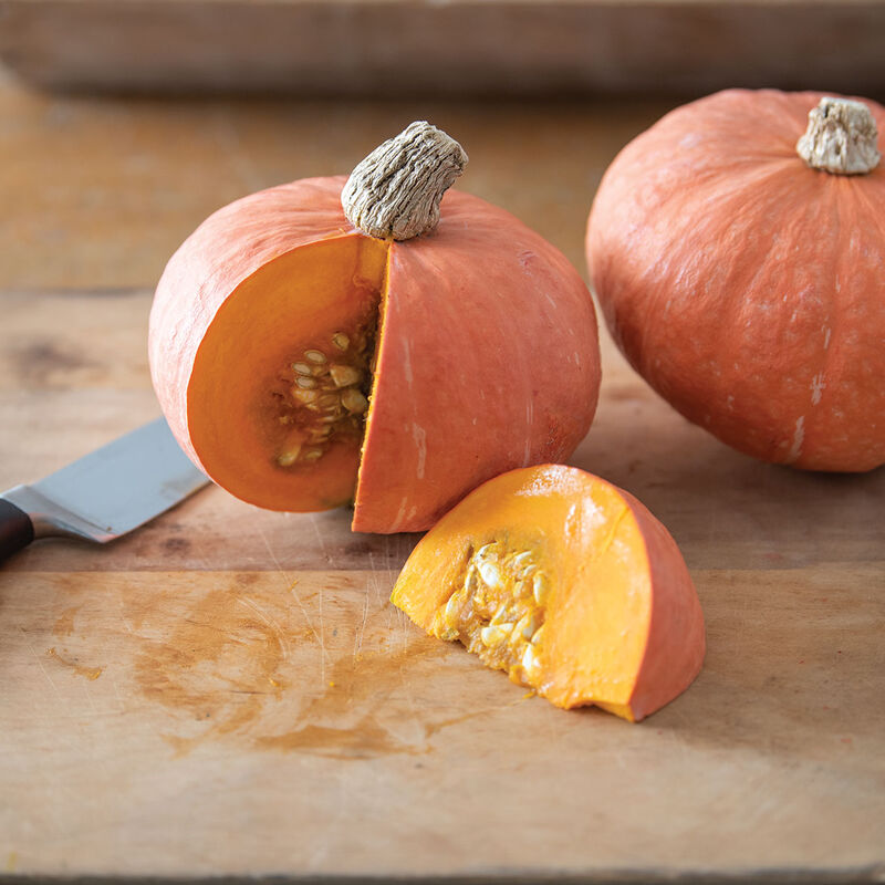 Marmalade - Semillas Orgánicas (F1) de Calabaza Kabocha