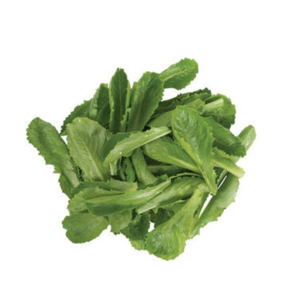 Carlsbad - Semillas de Lechuga Romana Orgánica