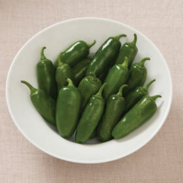 Early Jalapeño - Semilla de Chile Jalapeño Orgánico