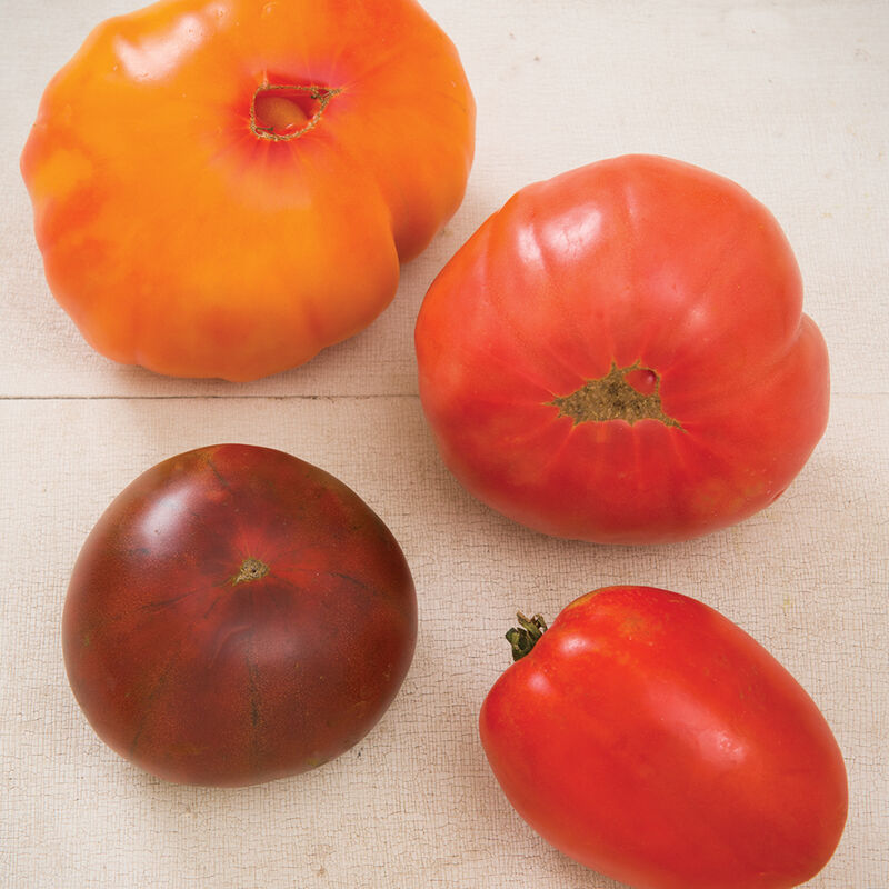 Heirloom Tomato Collection - Semillas de Tomate Orgánico
