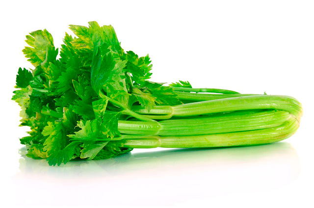 Semillas de Hortalizas