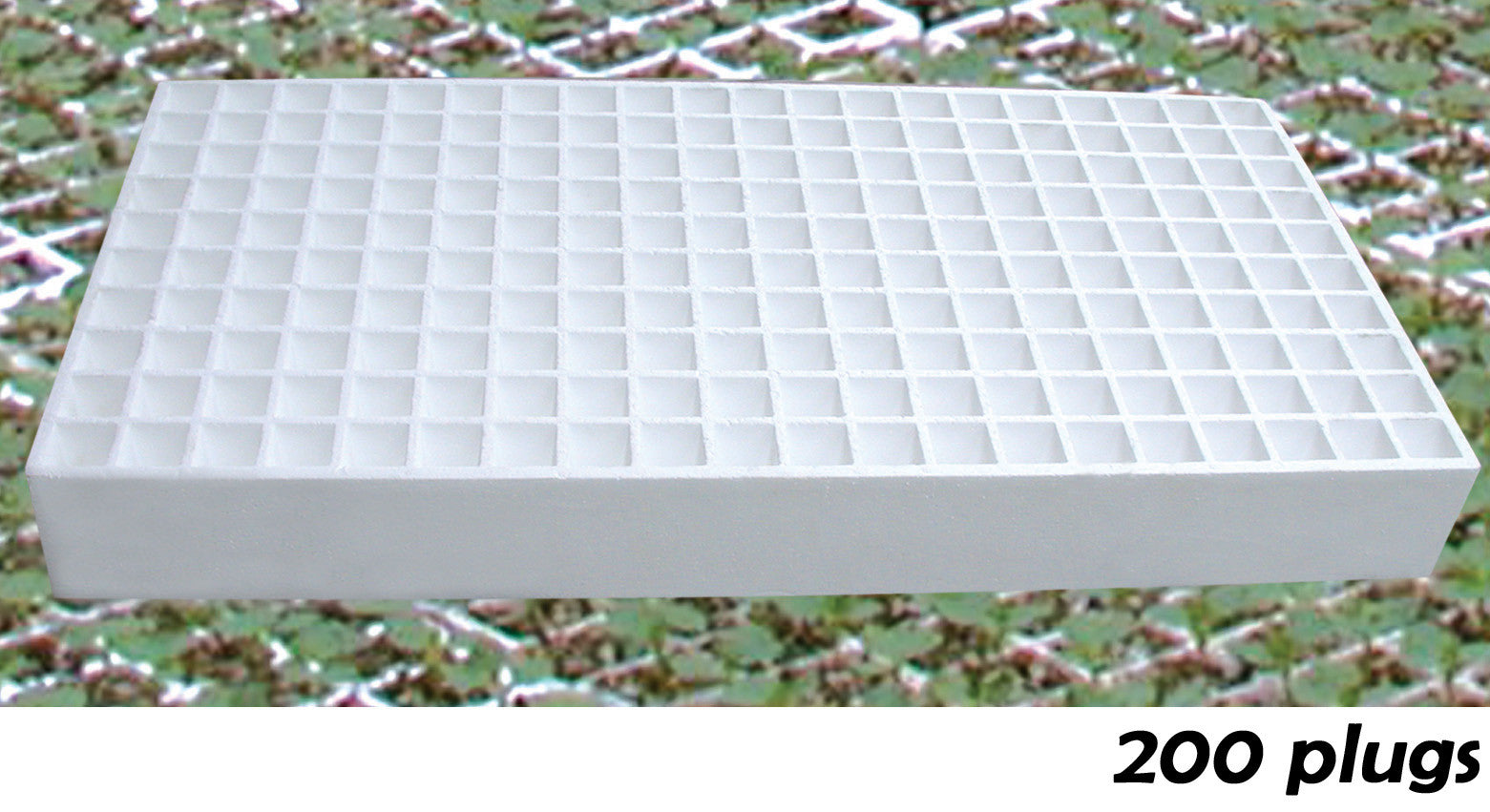 Charola de Unicel de 200 cavidades para Germinación de Semillas