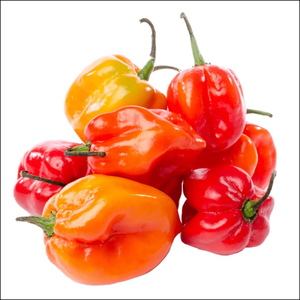 Semillas de Hortalizas