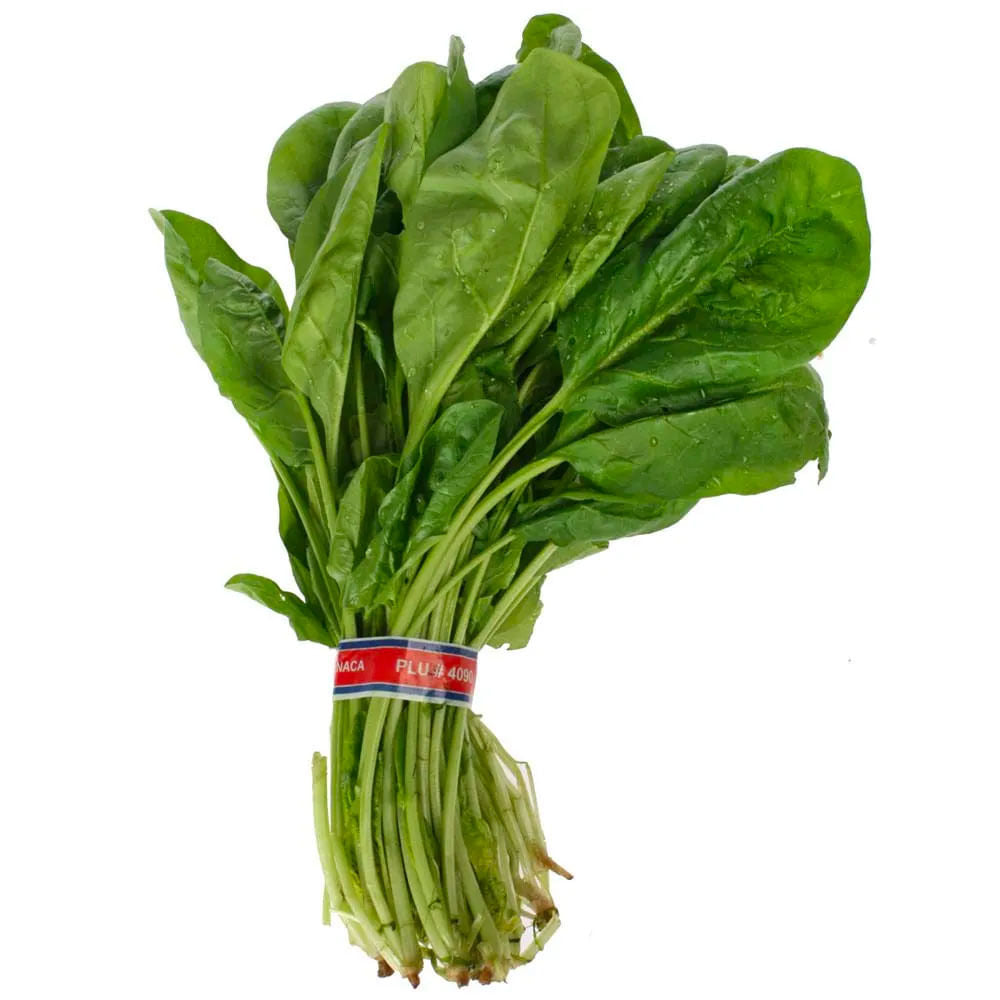 Semillas de Hortalizas