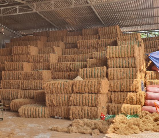 Fibra de coco al mejor calidad y precio
