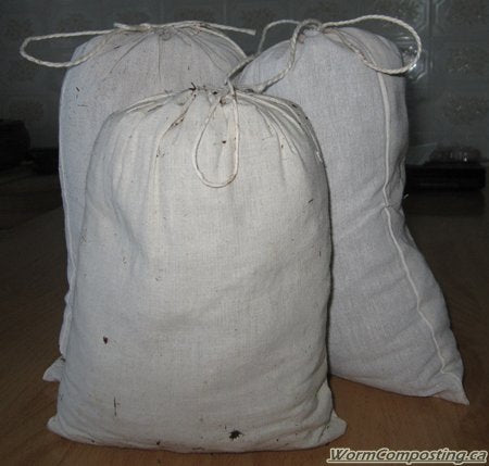 lombricomposta mexico