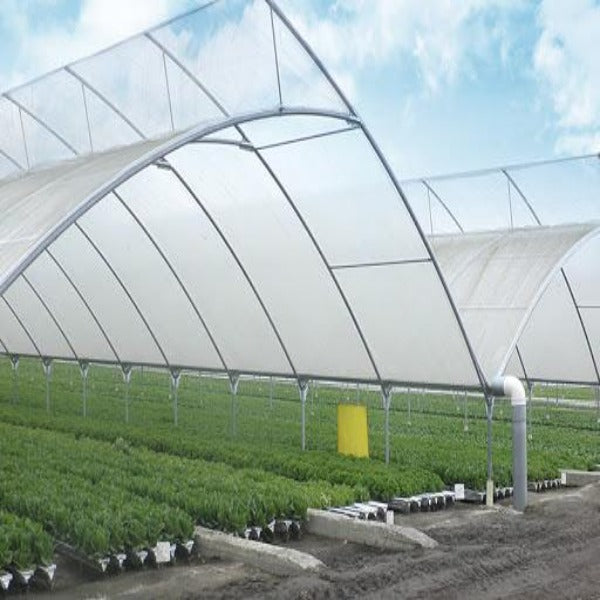 Plasticos para Invernaderos Mexico