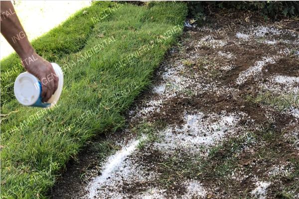 Lluvia Solida en Pasto
