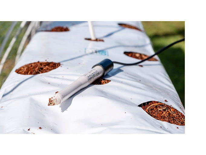 Bluelab Leap pH Probe - Sonda de pH para Solidos y Líquidos