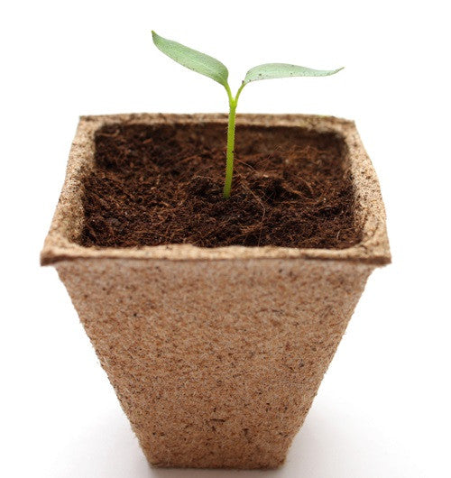 maceta cuadrada de turba organica biodegradable