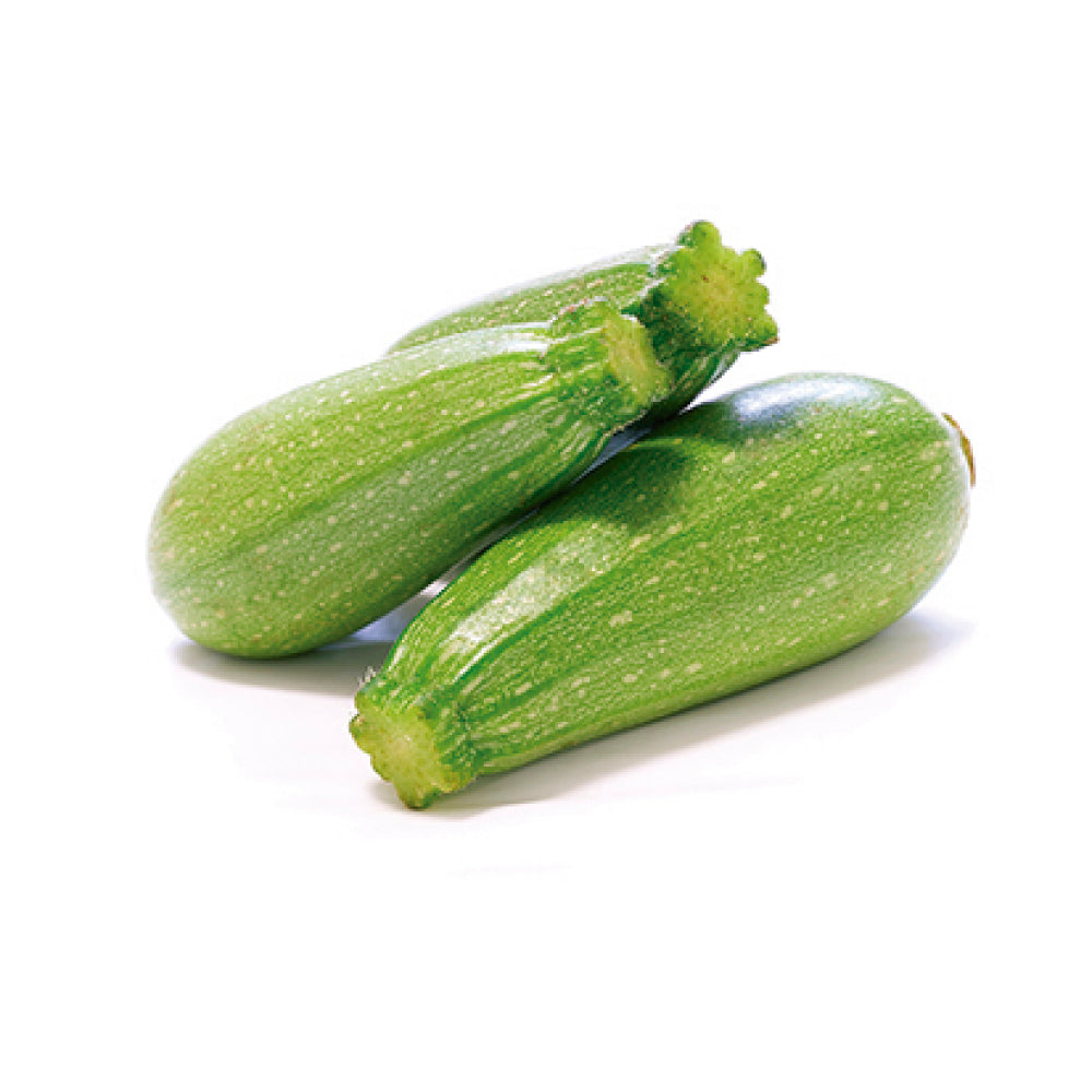 Semillas de Hortalizas