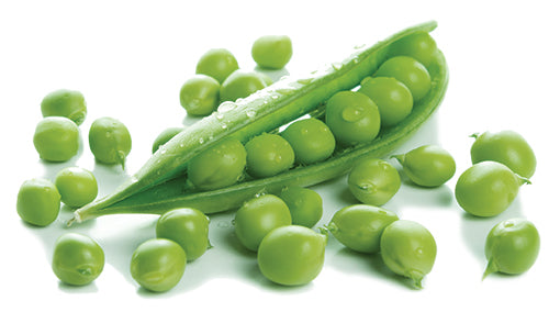 Semillas de Hortalizas