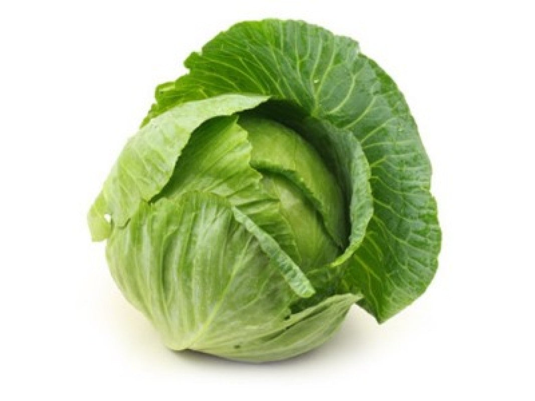 Semillas de Hortalizas