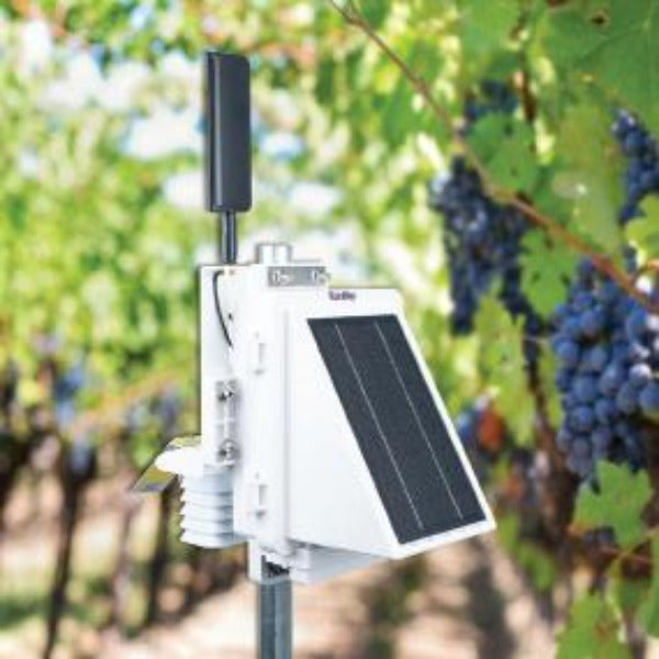 WatchDog 3210 - Alertas de Temperatura Inalámbrica