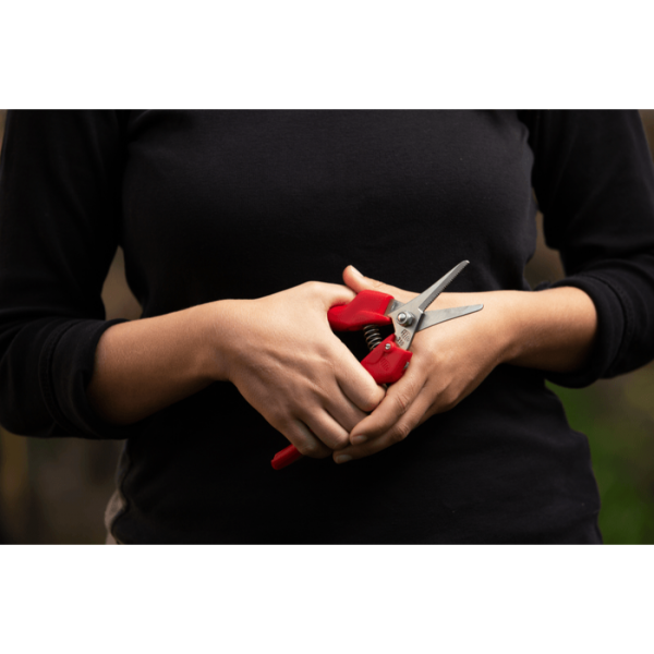 Tijera para Recolección - Felco 310