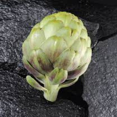 Semillas de Alcachofa - Diferentes variedades