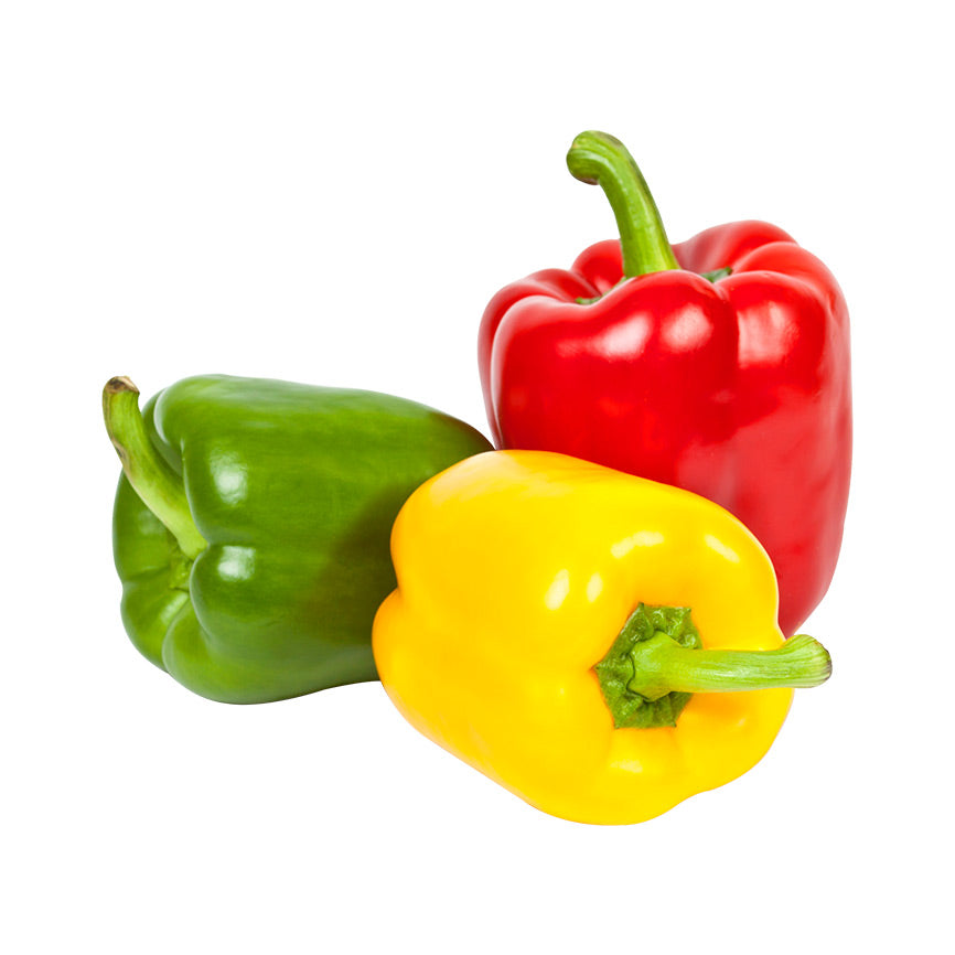 Semillas de Hortalizas