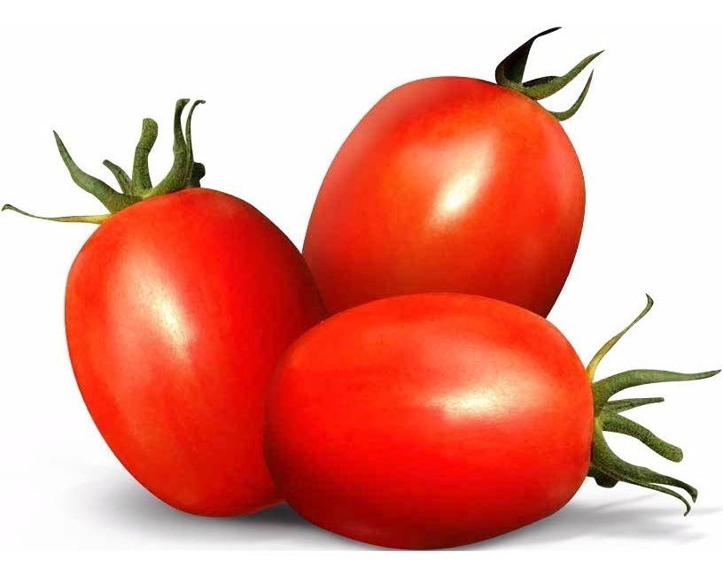 Semillas de Hortalizas