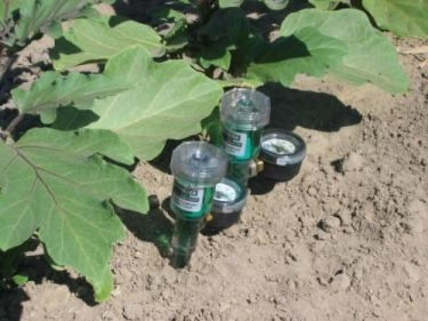 Tensiómetros Punta Blanca IRROMETER SR (Punta Reemplazable)