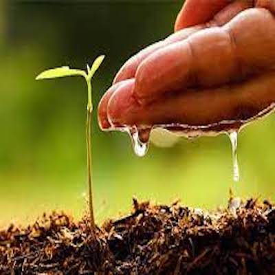 ¿Por qué la Calidad del Agua es Importante?